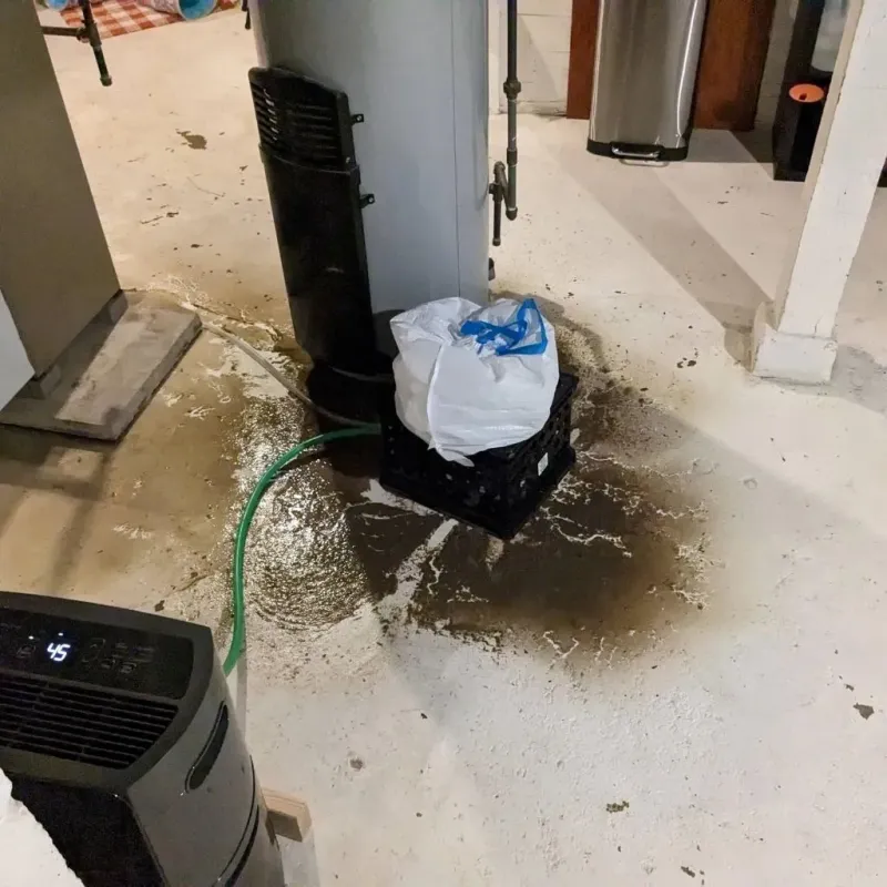 Sewage Backup Cleanup Service in Buffalo, MO